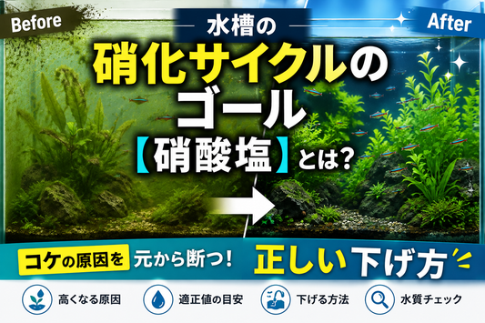 水槽の硝酸塩とは？高くなる原因・適正値・下げる方法を解説