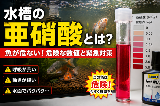 水槽の亜硝酸とは？原因・危険な数値・下げる方法を解説