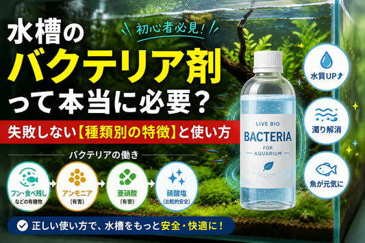水槽のバクテリア剤は必要？効果・選び方・使い方を初心者向けに解説